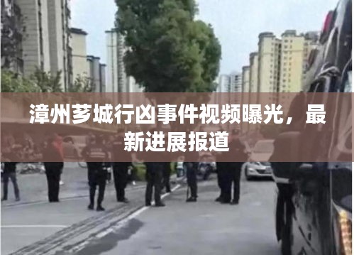 漳州芗城行凶事件视频曝光，最新进展报道