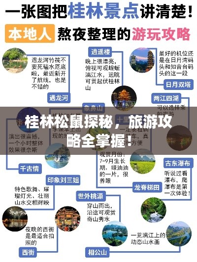 桂林松鼠探秘，旅游攻略全掌握！