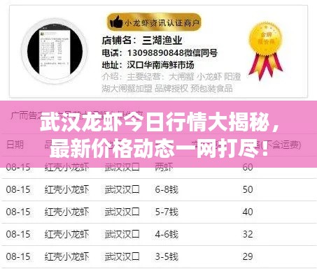 武汉龙虾今日行情大揭秘，最新价格动态一网打尽！