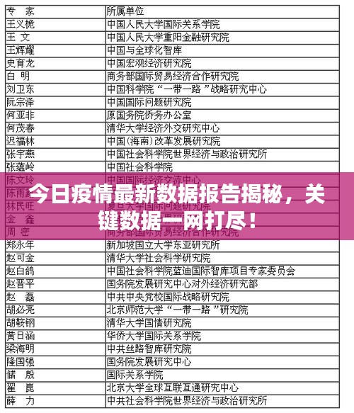 今日疫情最新数据报告揭秘，关键数据一网打尽！