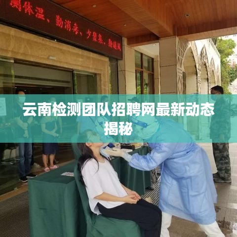 云南检测团队招聘网最新动态揭秘