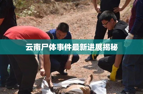 云南尸体事件最新进展揭秘