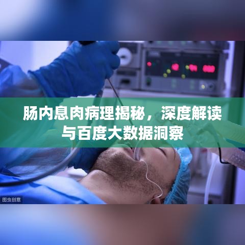 办公设备 第20页