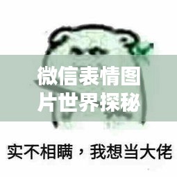 微信表情图片世界探秘，百度带你领略无尽魅力