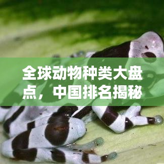全球动物种类大盘点，中国排名揭秘！