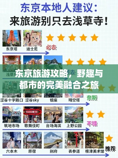 东京旅游攻略，野趣与都市的完美融合之旅