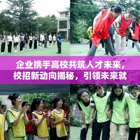 企业携手高校共筑人才未来，校招新动向揭秘，引领未来就业新趋势