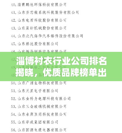淄博衬衣行业公司排名揭晓，优质品牌榜单出炉！