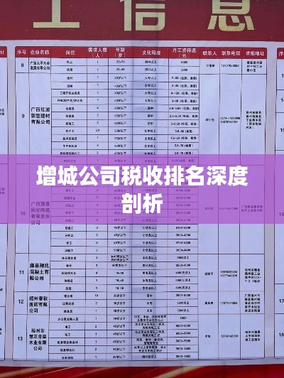 增城公司税收排名深度剖析