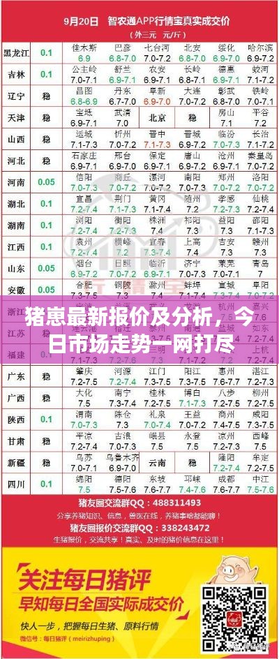 猪崽最新报价及分析，今日市场走势一网打尽
