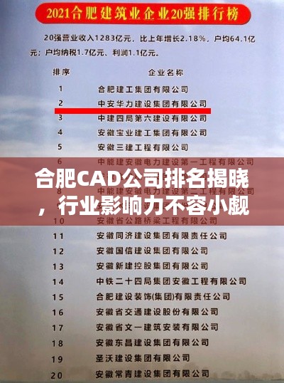 合肥CAD公司排名揭晓，行业影响力不容小觑