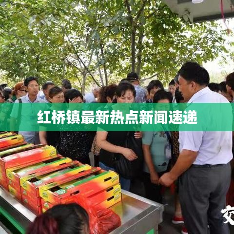 红桥镇最新热点新闻速递