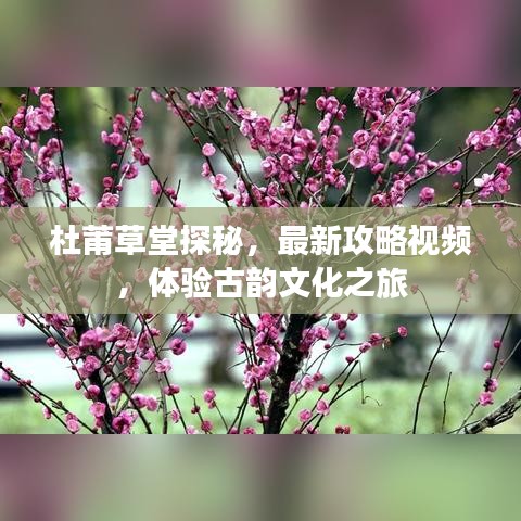 杜莆草堂探秘，最新攻略视频，体验古韵文化之旅