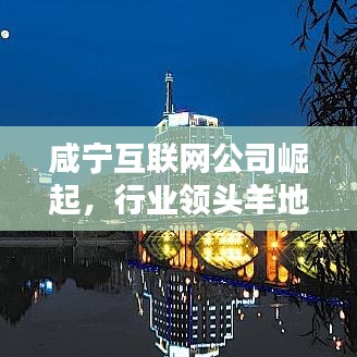 咸宁互联网公司崛起，行业领头羊地位稳固