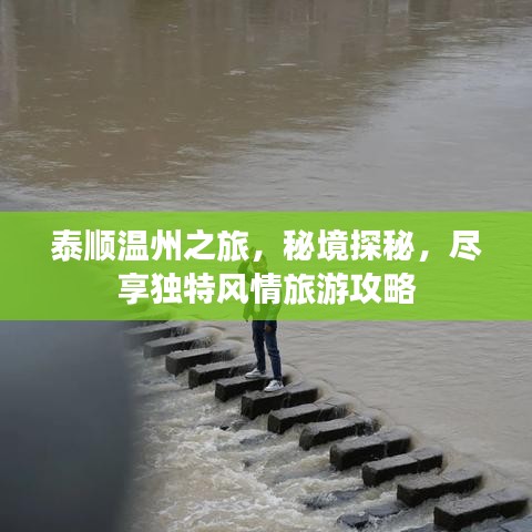 泰顺温州之旅，秘境探秘，尽享独特风情旅游攻略