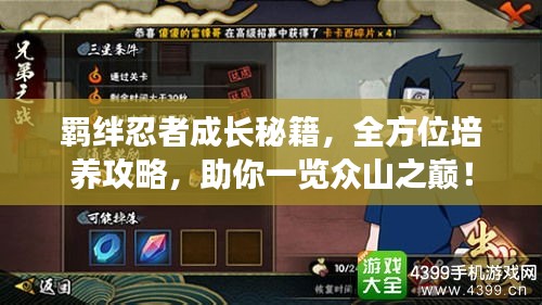 羁绊忍者成长秘籍，全方位培养攻略，助你一览众山之巅！