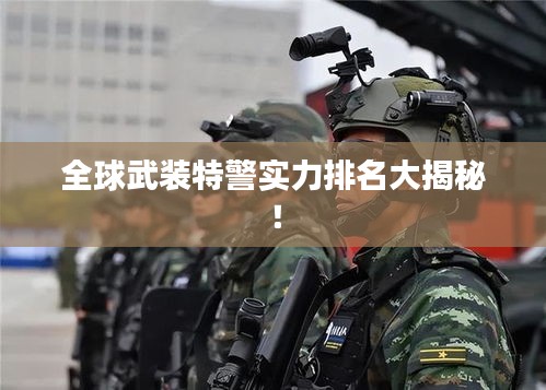 全球武装特警实力排名大揭秘！