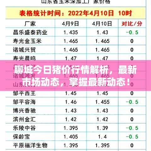 聊城今日猪价行情解析，最新市场动态，掌握最新动态！