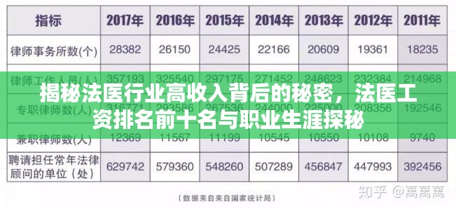 揭秘法医行业高收入背后的秘密，法医工资排名前十名与职业生涯探秘