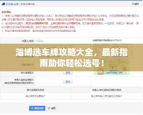 淄博选车牌攻略大全，最新指南助你轻松选号！