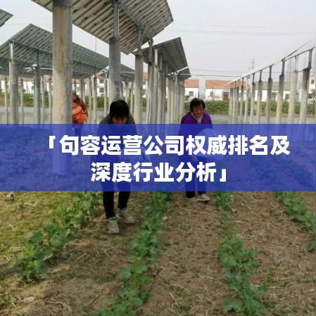 笔走如飞