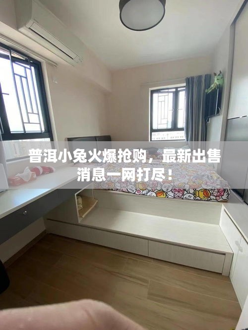 普洱小兔火爆抢购，最新出售消息一网打尽！