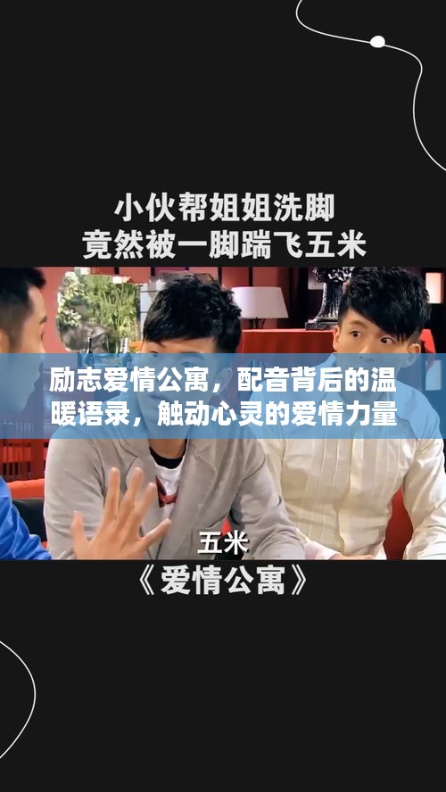励志爱情公寓，配音背后的温暖语录，触动心灵的爱情力量