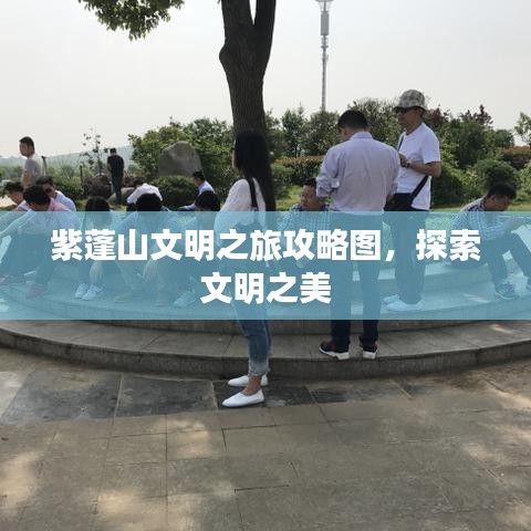 平板电脑 第20页