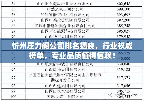 忻州压力阀公司排名揭晓，行业权威榜单，专业品质值得信赖！