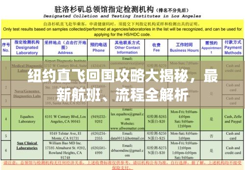 纽约直飞回国攻略大揭秘，最新航班、流程全解析
