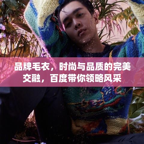 品牌毛衣，时尚与品质的完美交融，百度带你领略风采