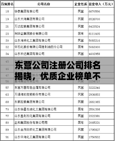 东营公司注册公司排名揭晓，优质企业榜单不容错过！