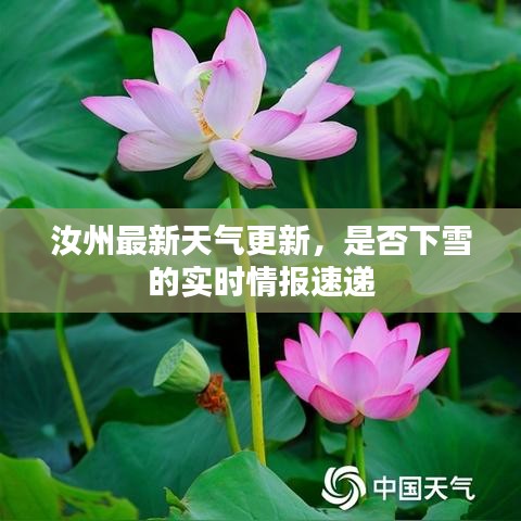 汝州最新天气更新，是否下雪的实时情报速递