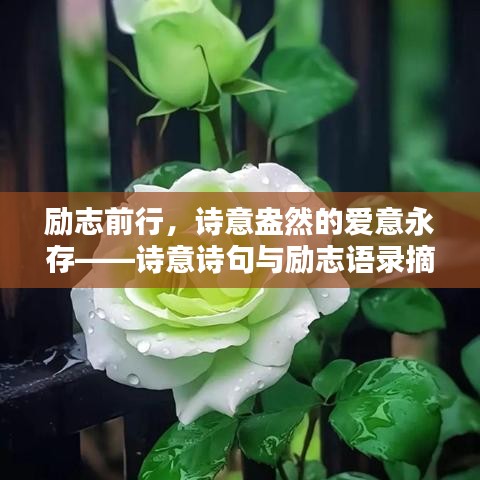 斗志昂扬