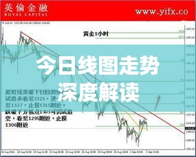 今日线图走势深度解读