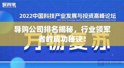 导购公司排名揭秘，行业领军者的成功秘诀！