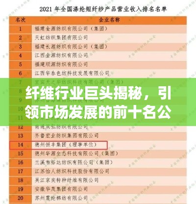 纤维行业巨头揭秘，引领市场发展的前十名公司榜单