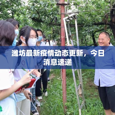 潍坊最新疫情动态更新，今日消息速递
