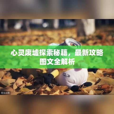 心灵废墟探索秘籍，最新攻略图文全解析