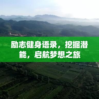 十全十美