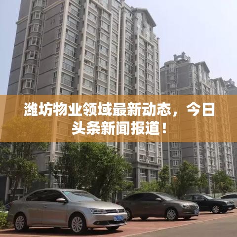潍坊物业领域最新动态，今日头条新闻报道！