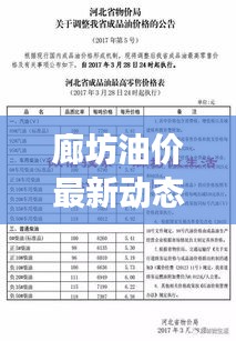 廊坊油价最新动态，今日油价表及市场解读速递