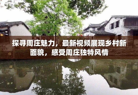 探寻周庄魅力，最新视频展现乡村新面貌，感受周庄独特风情