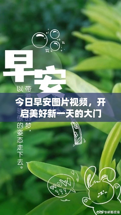 今日早安图片视频，开启美好新一天的大门