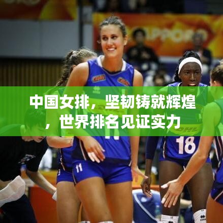 中国女排，坚韧铸就辉煌，世界排名见证实力