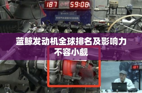 蓝鲸发动机全球排名及影响力不容小觑