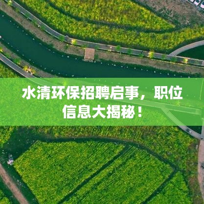 鸟哭猿啼