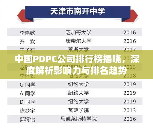 中国PDPC公司排行榜揭晓，深度解析影响力与排名趋势