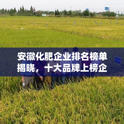 安徽化肥企业排名榜单揭晓，十大品牌上榜企业名单