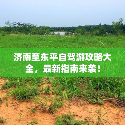 心急如焚